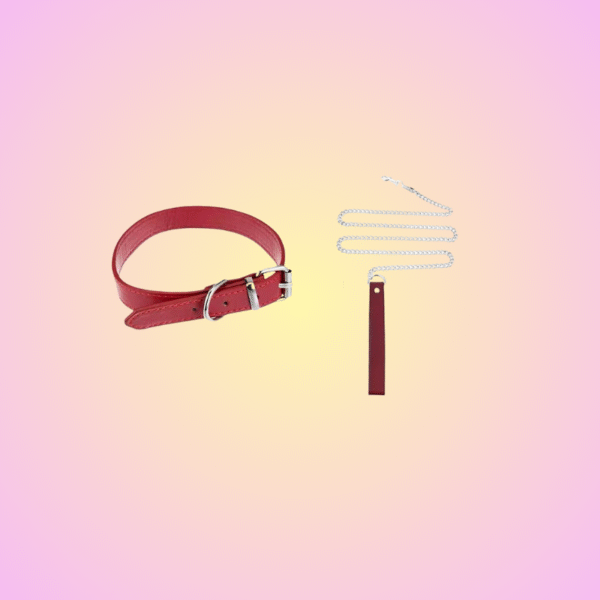 Faux Leather Collar & Leash Set – Minimalist Submissive Choker